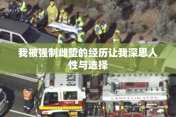 我被强制雌堕的经历让我深思人性与选择