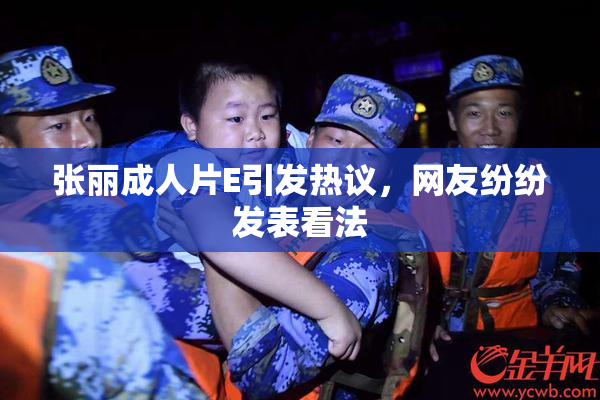 张丽成人片E引发热议，网友纷纷发表看法