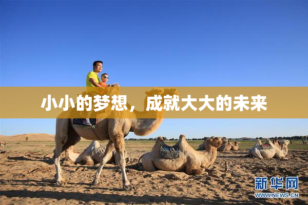 小小的梦想，成就大大的未来