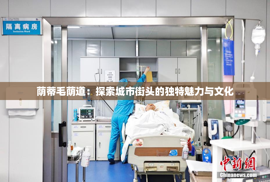 荫蒂毛荫道：探索城市街头的独特魅力与文化