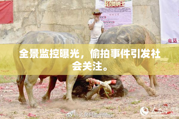 全景监控曝光，偷拍事件引发社会关注。