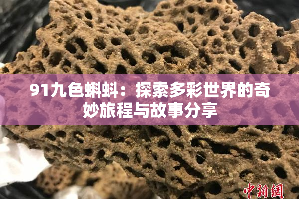 91九色蝌蚪：探索多彩世界的奇妙旅程与故事分享