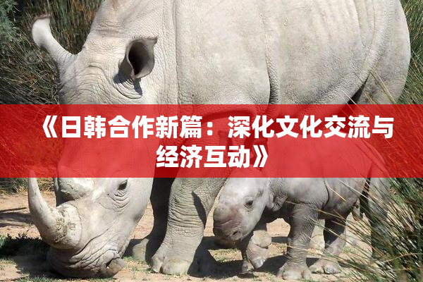 《日韩合作新篇：深化文化交流与经济互动》