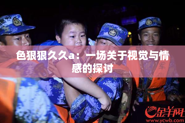 色狠狠久久a：一场关于视觉与情感的探讨