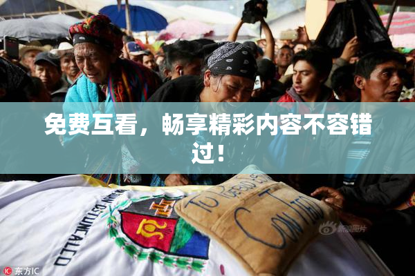 免费互看，畅享精彩内容不容错过！