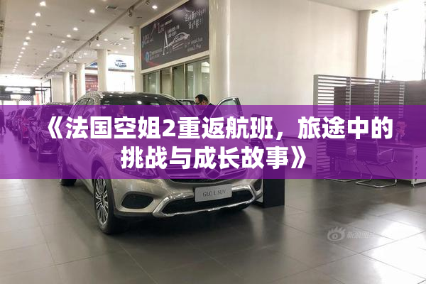 《法国空姐2重返航班，旅途中的挑战与成长故事》