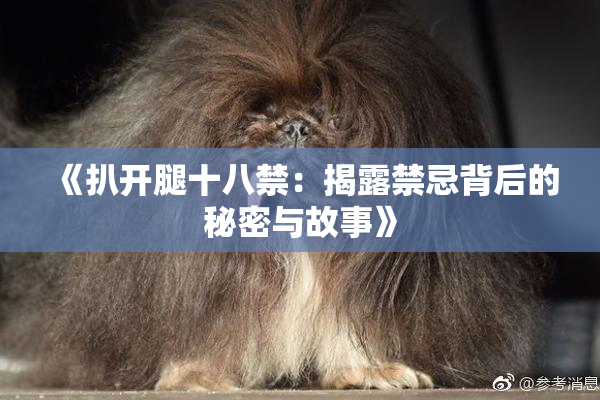 《扒开腿十八禁：揭露禁忌背后的秘密与故事》