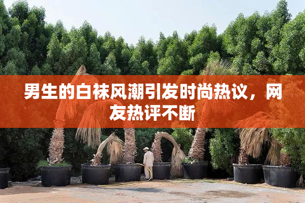 男生的白袜风潮引发时尚热议，网友热评不断