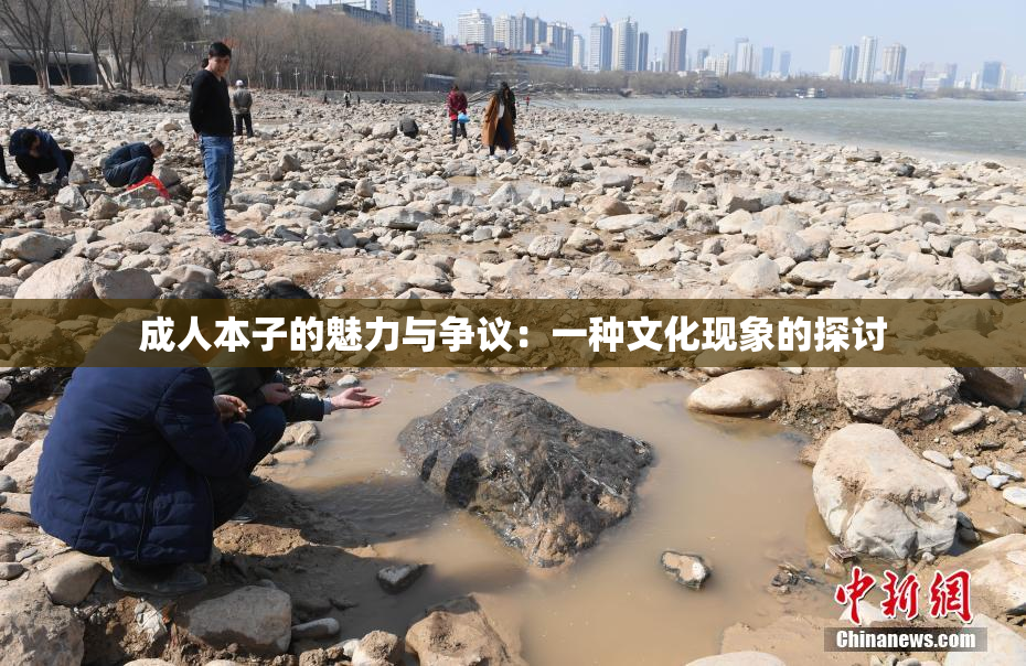 成人本子的魅力与争议：一种文化现象的探讨