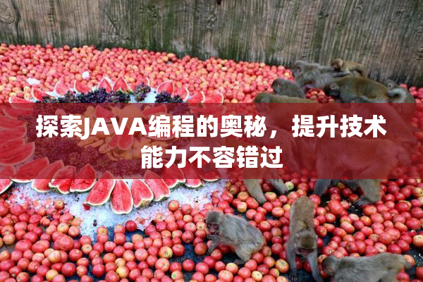 探索JAVA编程的奥秘，提升技术能力不容错过