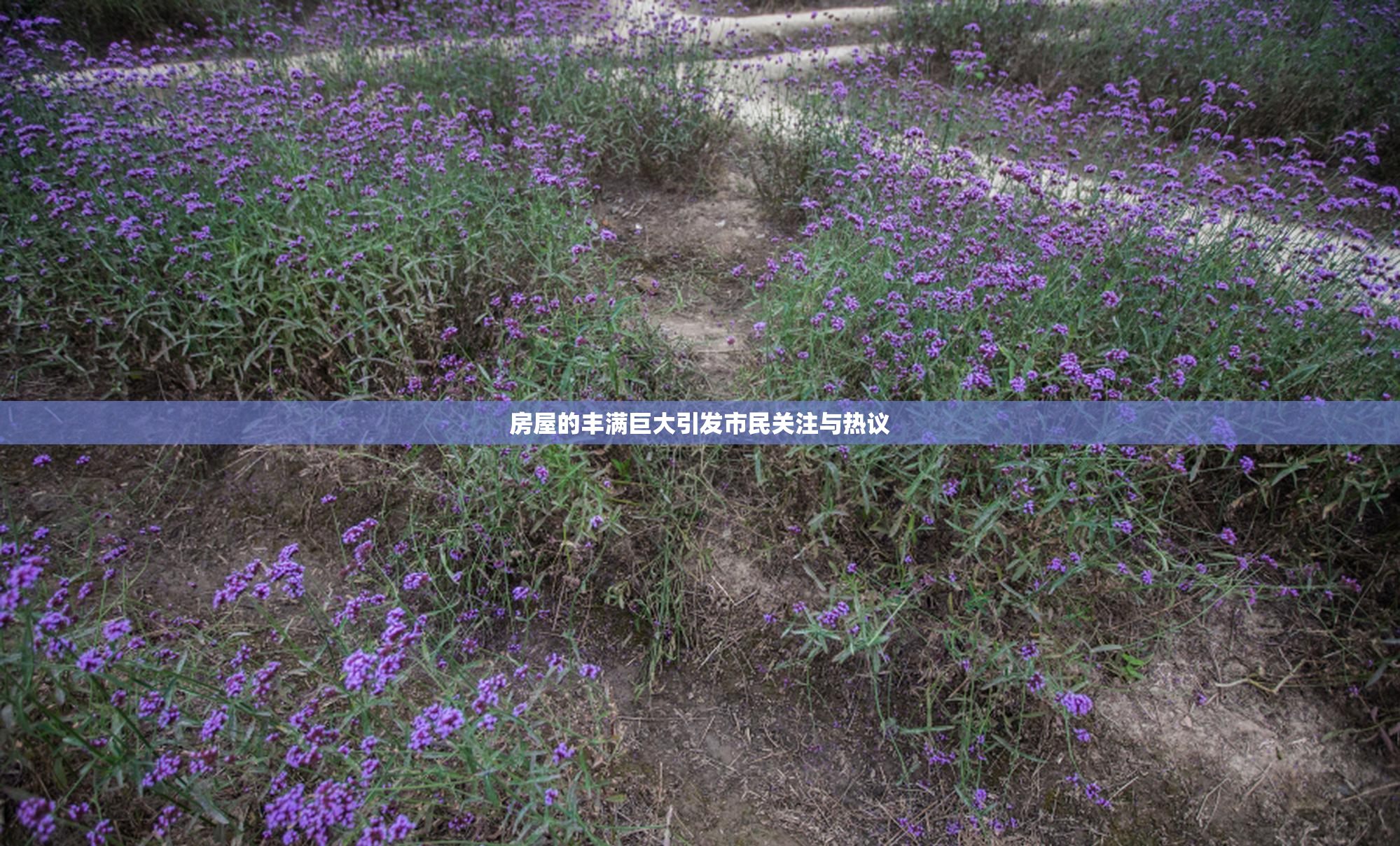 房屋的丰满巨大引发市民关注与热议
