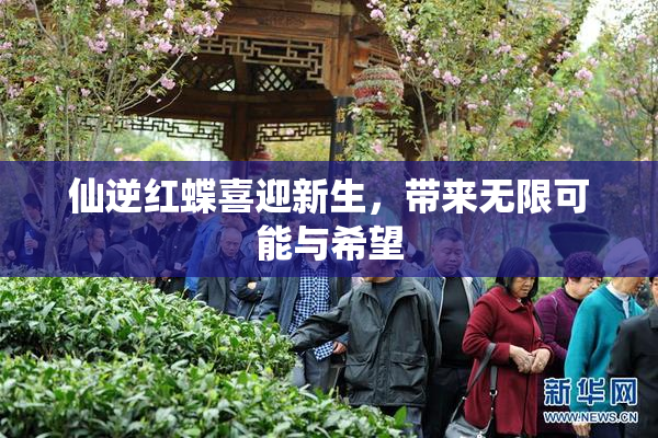 仙逆红蝶喜迎新生，带来无限可能与希望