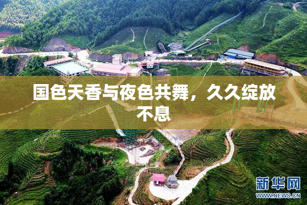 国色天香与夜色共舞，久久绽放不息