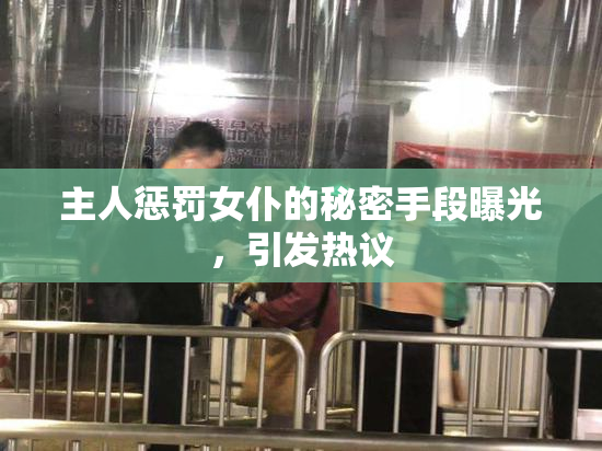 主人惩罚女仆的秘密手段曝光，引发热议