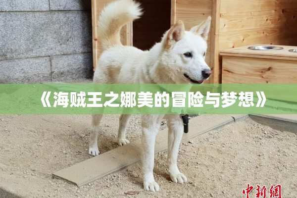 《海贼王之娜美的冒险与梦想》