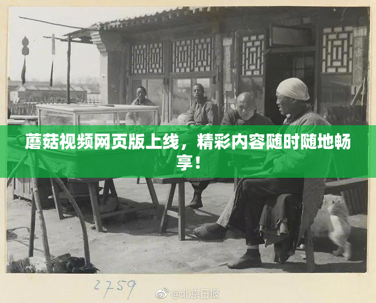 蘑菇视频网页版上线，精彩内容随时随地畅享！