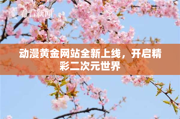 动漫黄金网站全新上线，开启精彩二次元世界