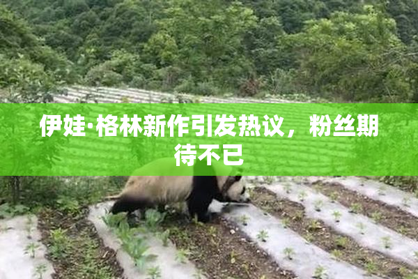 伊娃·格林新作引发热议，粉丝期待不已