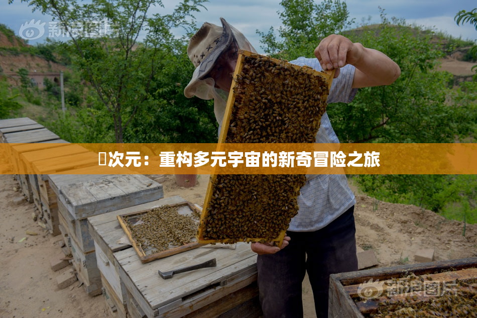 囧次元：重构多元宇宙的新奇冒险之旅