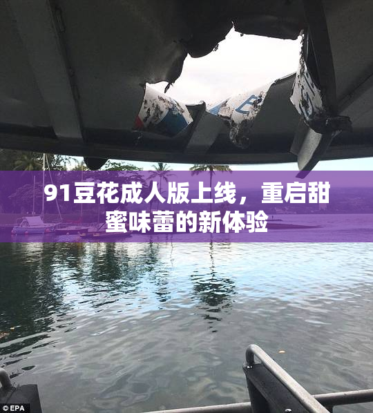91豆花成人版上线，重启甜蜜味蕾的新体验
