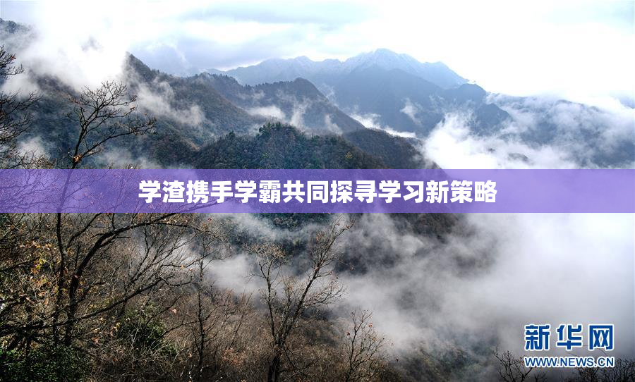 学渣携手学霸共同探寻学习新策略