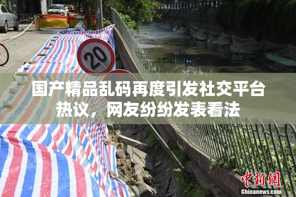 国产精品乱码再度引发社交平台热议，网友纷纷发表看法