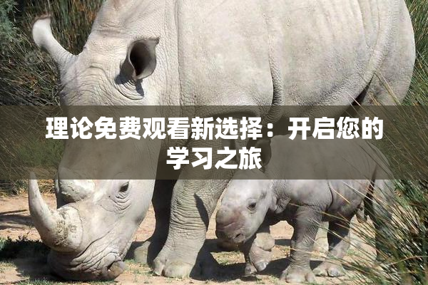 理论免费观看新选择：开启您的学习之旅