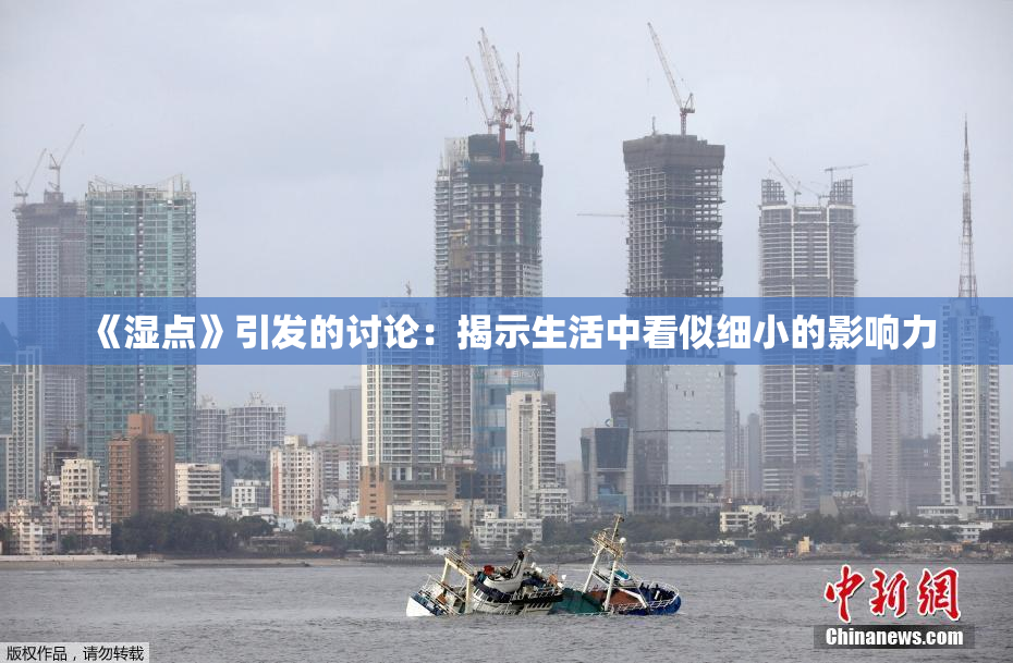 《湿点》引发的讨论：揭示生活中看似细小的影响力