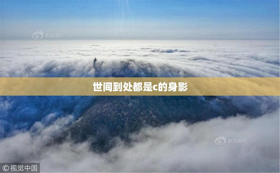 世间到处都是c的身影