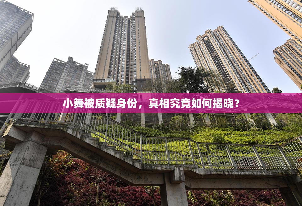小舞被质疑身份，真相究竟如何揭晓？