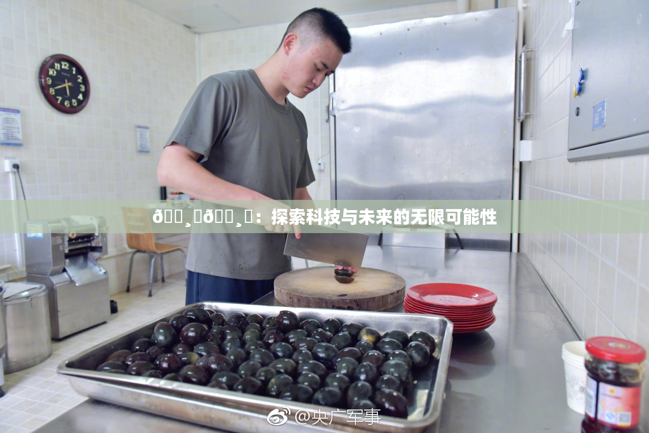🌸‌🌸‌：探索科技与未来的无限可能性