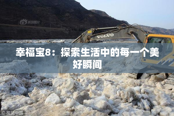 幸福宝8：探索生活中的每一个美好瞬间