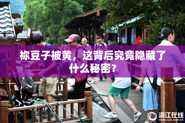祢豆子被黄，这背后究竟隐藏了什么秘密？