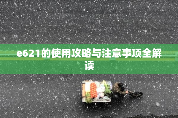 e621的使用攻略与注意事项全解读