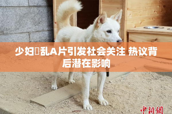 少妇婬乱A片引发社会关注 热议背后潜在影响