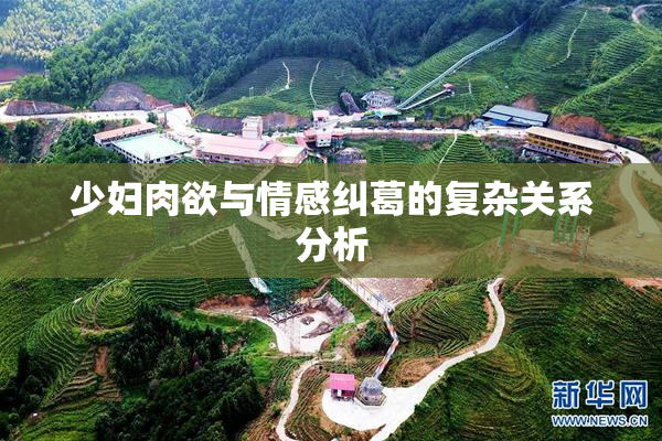 少妇肉欲与情感纠葛的复杂关系分析
