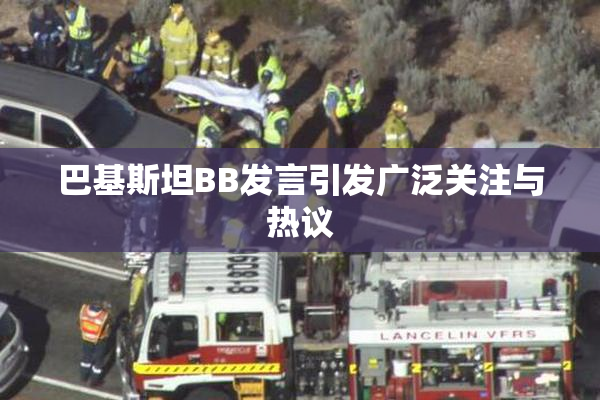 巴基斯坦BB发言引发广泛关注与热议