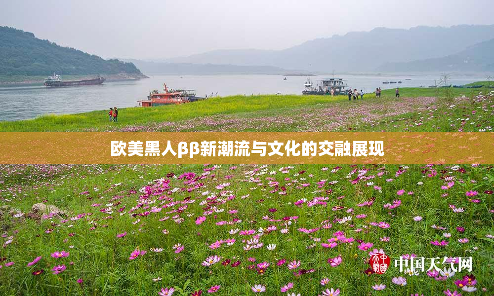 欧美黑人ββ新潮流与文化的交融展现