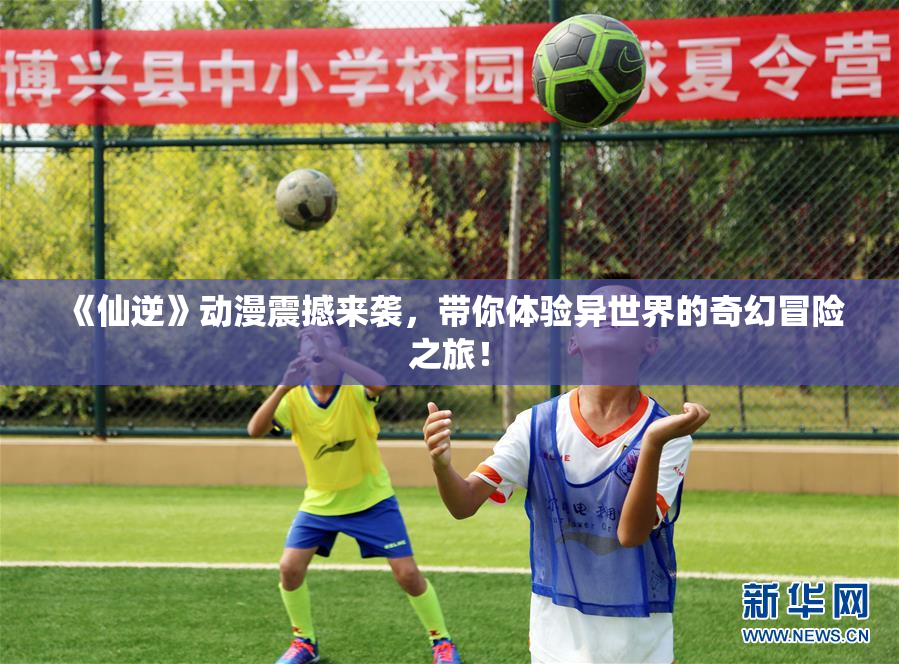 《仙逆》动漫震撼来袭，带你体验异世界的奇幻冒险之旅！