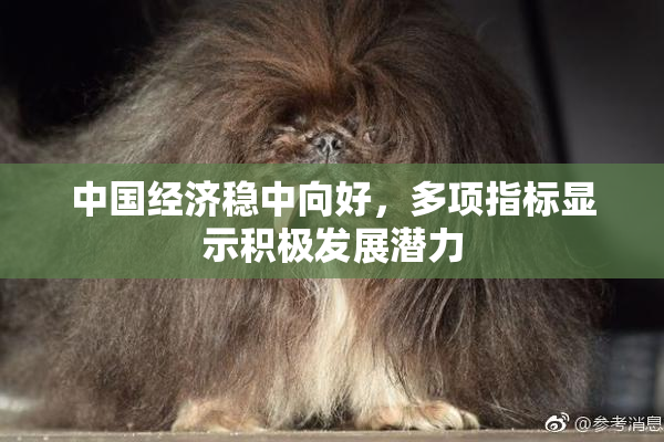 中国经济稳中向好，多项指标显示积极发展潜力