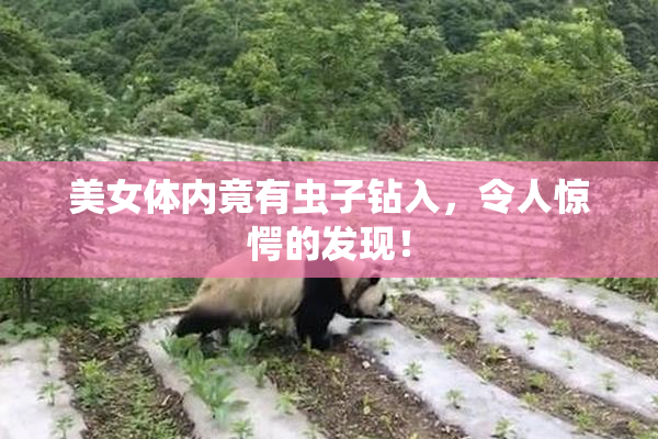 美女体内竟有虫子钻入，令人惊愕的发现！