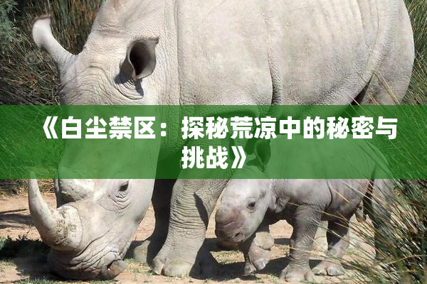 《白尘禁区：探秘荒凉中的秘密与挑战》