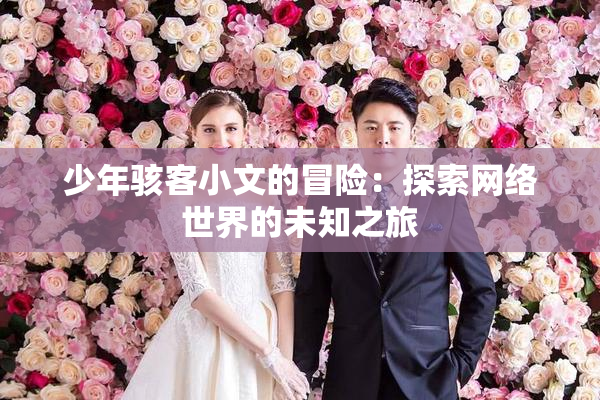 少年骇客小文的冒险：探索网络世界的未知之旅