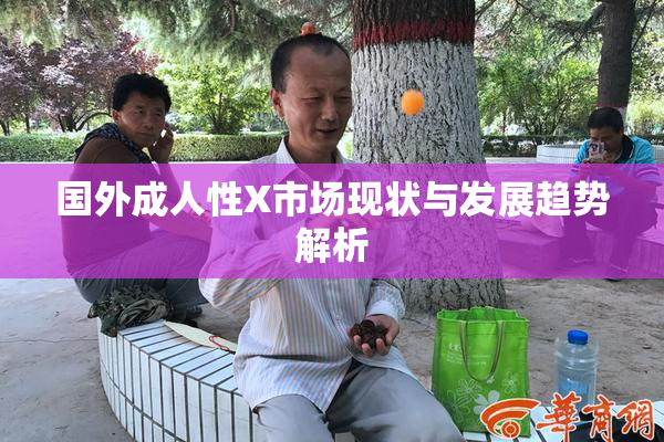 国外成人性X市场现状与发展趋势解析