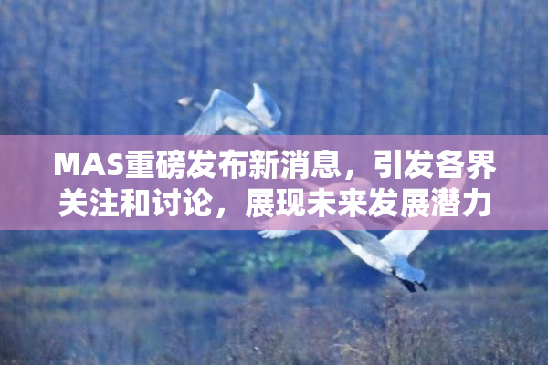 MAS重磅发布新消息，引发各界关注和讨论，展现未来发展潜力