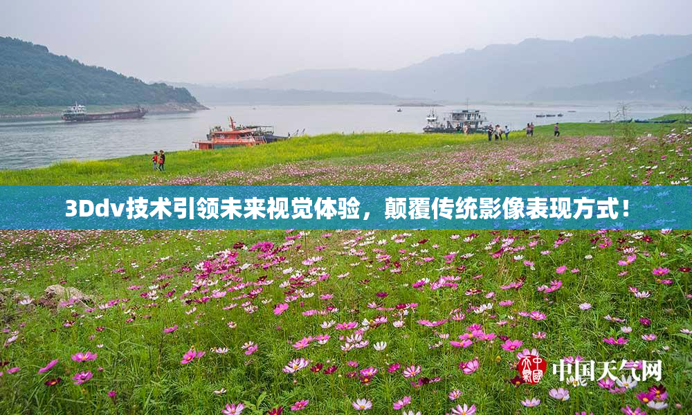 3Ddv技术引领未来视觉体验，颠覆传统影像表现方式！