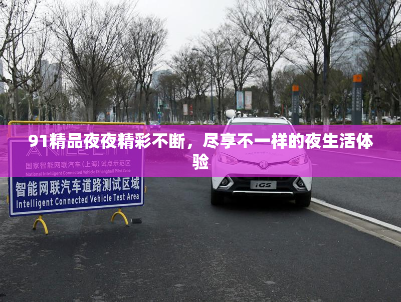 91精品夜夜精彩不断，尽享不一样的夜生活体验
