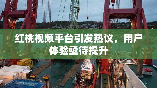 红桃视频平台引发热议，用户体验亟待提升