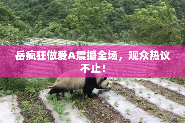 岳疯狂做爰A震撼全场，观众热议不止！