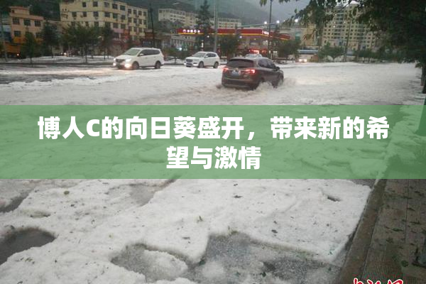 博人C的向日葵盛开，带来新的希望与激情
